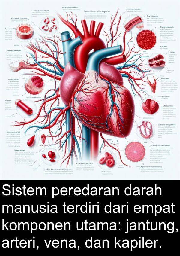 empat: Sistem peredaran darah manusia terdiri dari empat komponen utama: jantung, arteri, vena, dan kapiler.