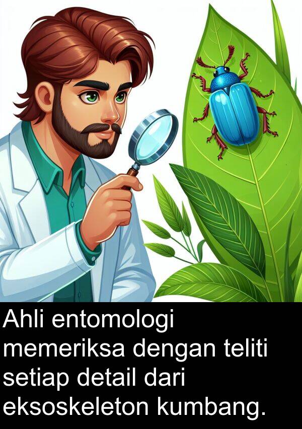 eksoskeleton: Ahli entomologi memeriksa dengan teliti setiap detail dari eksoskeleton kumbang.