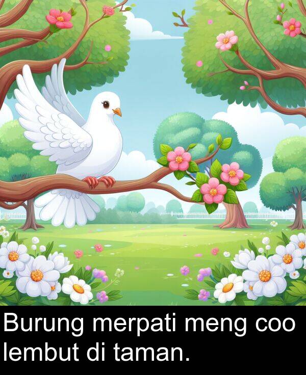 taman: Burung merpati meng coo lembut di taman.