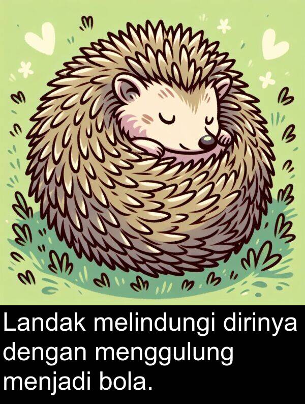 melindungi: Landak melindungi dirinya dengan menggulung menjadi bola.