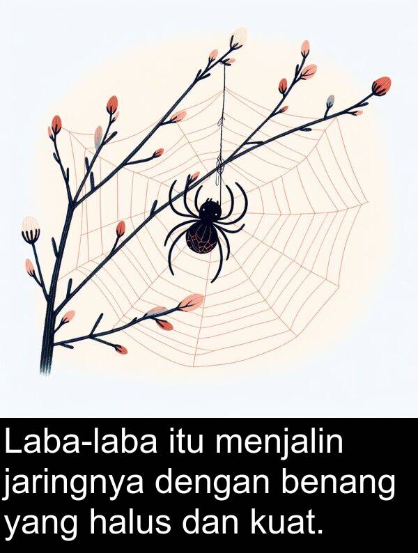 halus: Laba-laba itu menjalin jaringnya dengan benang yang halus dan kuat.