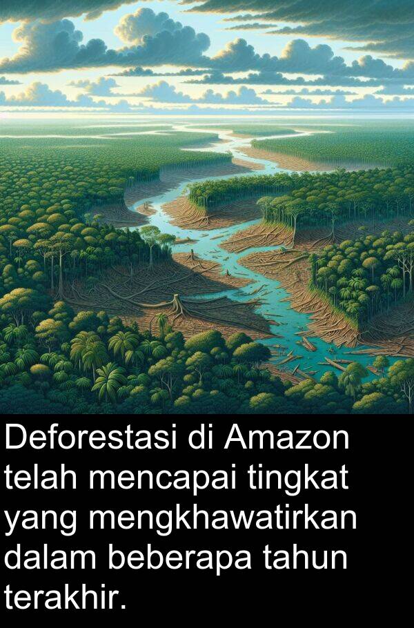 terakhir: Deforestasi di Amazon telah mencapai tingkat yang mengkhawatirkan dalam beberapa tahun terakhir.