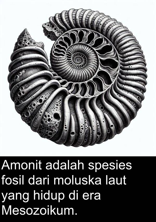 era: Amonit adalah spesies fosil dari moluska laut yang hidup di era Mesozoikum.
