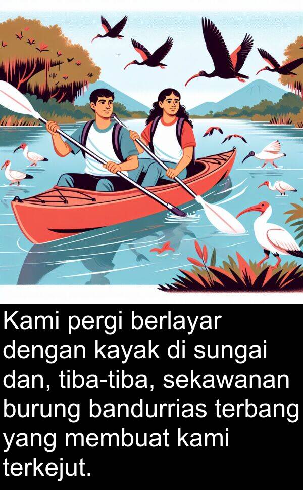 sekawanan: Kami pergi berlayar dengan kayak di sungai dan, tiba-tiba, sekawanan burung bandurrias terbang yang membuat kami terkejut.