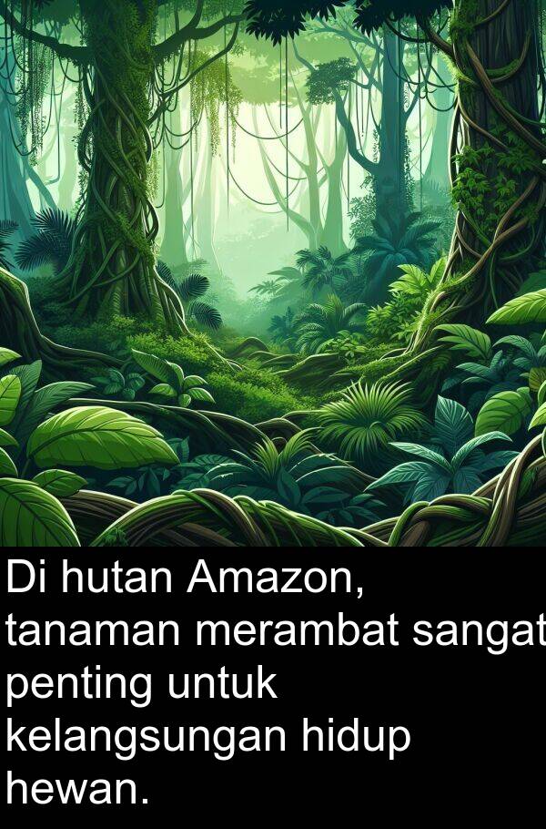 hutan: Di hutan Amazon, tanaman merambat sangat penting untuk kelangsungan hidup hewan.