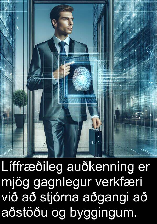 verkfæri: Líffræðileg auðkenning er mjög gagnlegur verkfæri við að stjórna aðgangi að aðstöðu og byggingum.