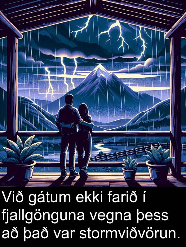 þess: Við gátum ekki farið í fjallgönguna vegna þess að það var stormviðvörun.