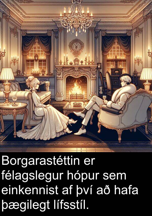 félagslegur: Borgarastéttin er félagslegur hópur sem einkennist af því að hafa þægilegt lífsstíl.