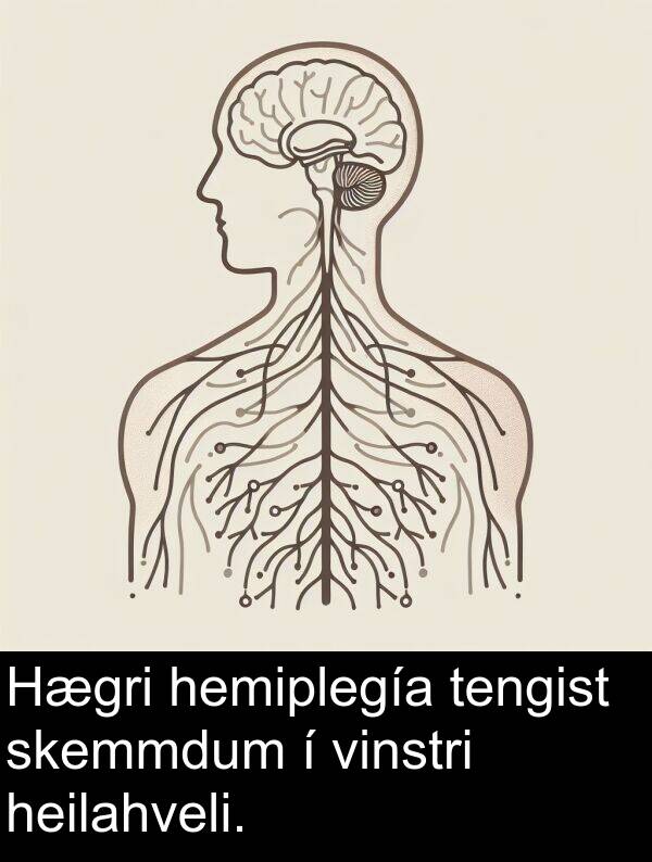 tengist: Hægri hemiplegía tengist skemmdum í vinstri heilahveli.