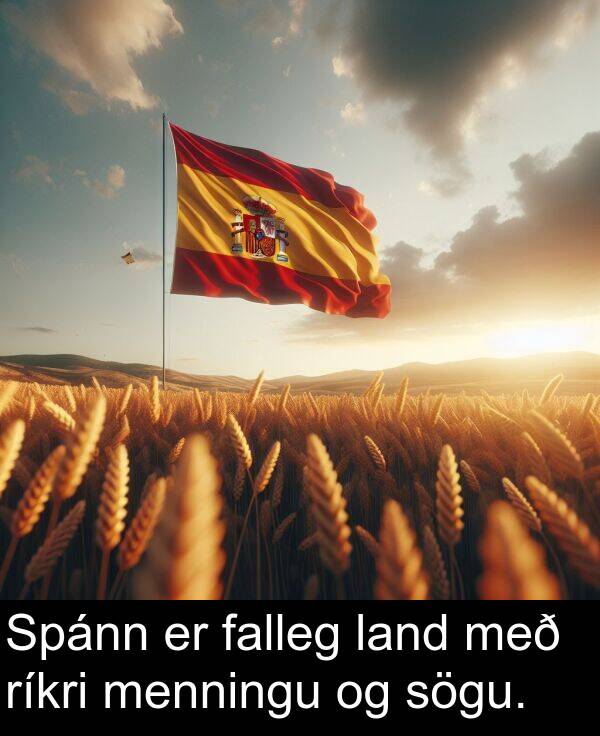 ríkri: Spánn er falleg land með ríkri menningu og sögu.