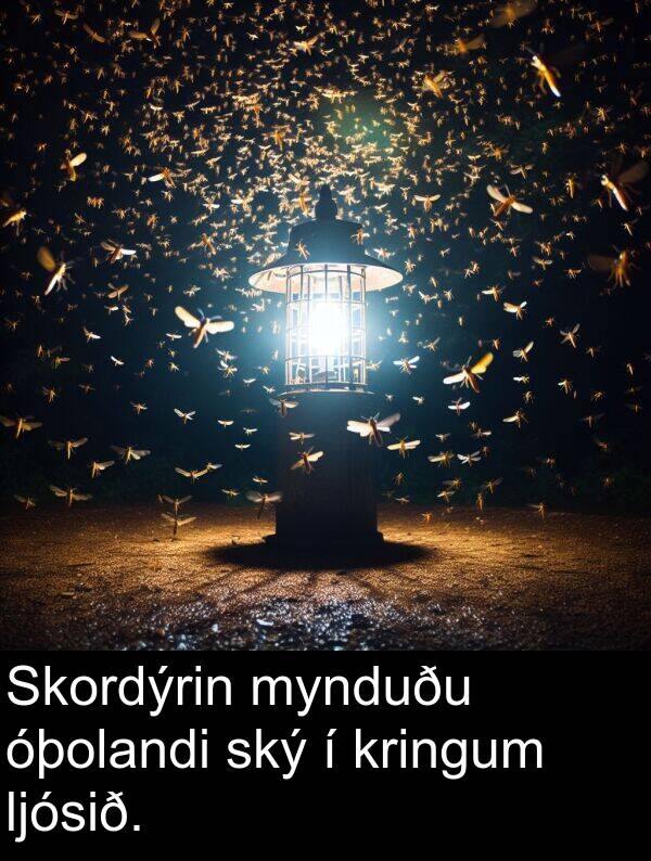 ský: Skordýrin mynduðu óþolandi ský í kringum ljósið.