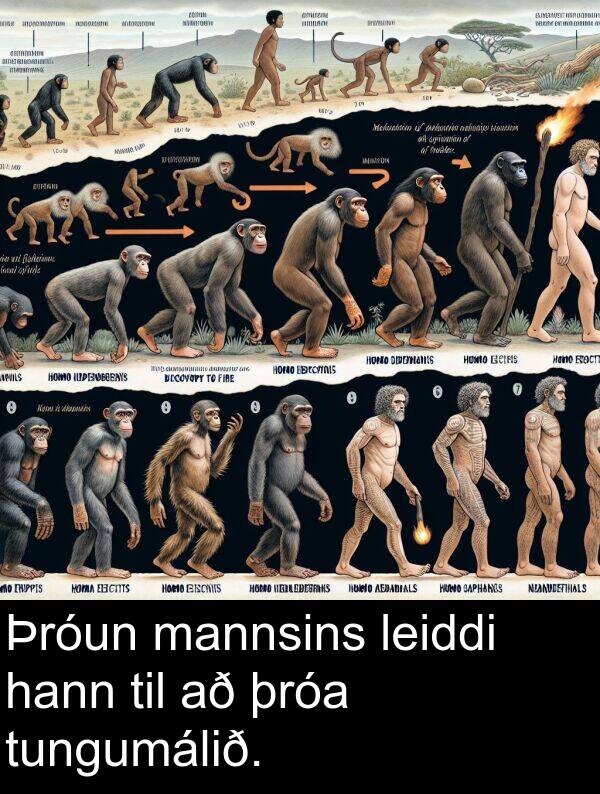 hann: Þróun mannsins leiddi hann til að þróa tungumálið.