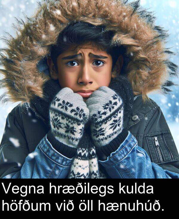 hænuhúð: Vegna hræðilegs kulda höfðum við öll hænuhúð.