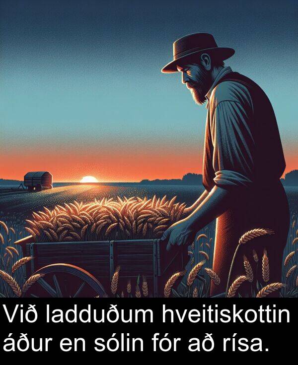 rísa: Við ladduðum hveitiskottin áður en sólin fór að rísa.