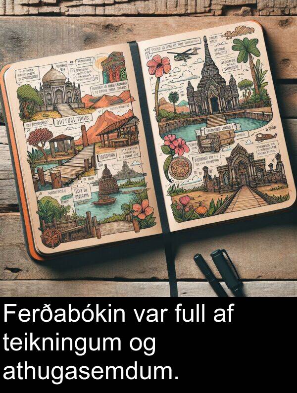 teikningum: Ferðabókin var full af teikningum og athugasemdum.