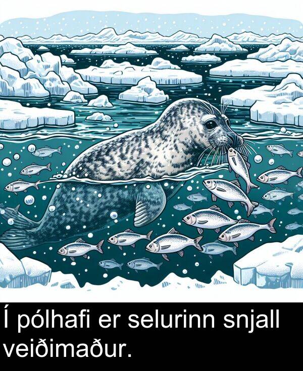 selurinn: Í pólhafi er selurinn snjall veiðimaður.