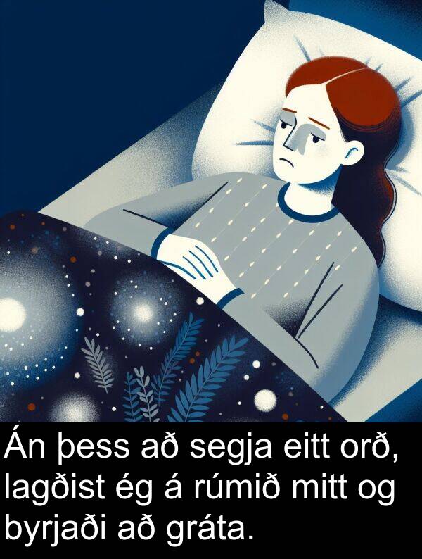 þess: Án þess að segja eitt orð, lagðist ég á rúmið mitt og byrjaði að gráta.