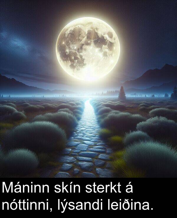 lýsandi: Máninn skín sterkt á nóttinni, lýsandi leiðina.