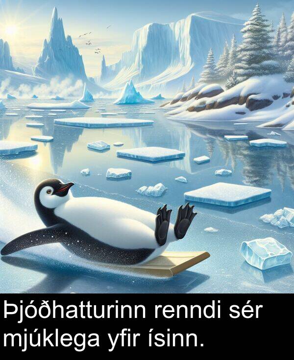 sér: Þjóðhatturinn renndi sér mjúklega yfir ísinn.