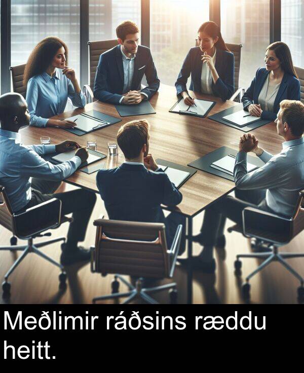 ráðsins: Meðlimir ráðsins ræddu heitt.
