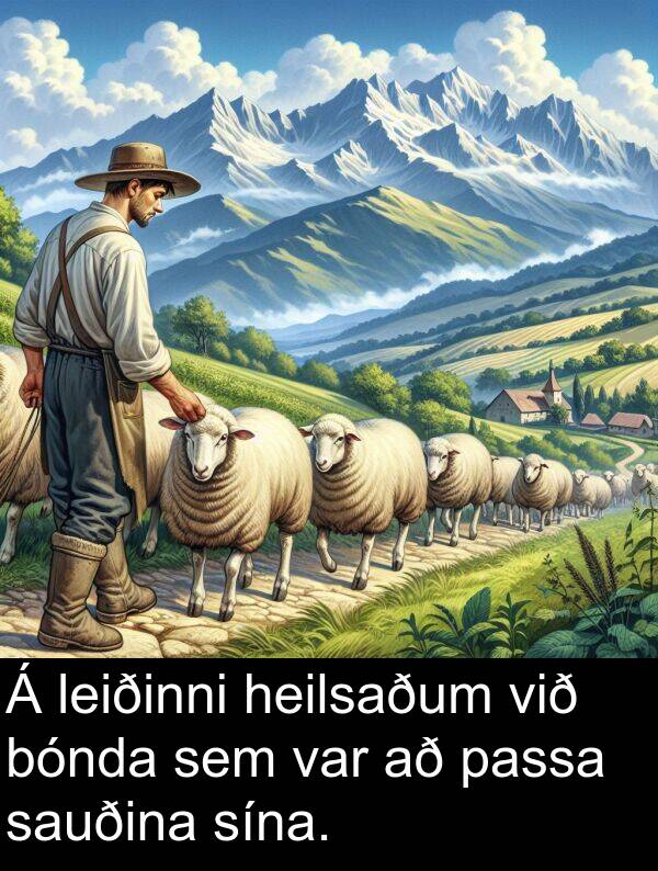 heilsaðum: Á leiðinni heilsaðum við bónda sem var að passa sauðina sína.