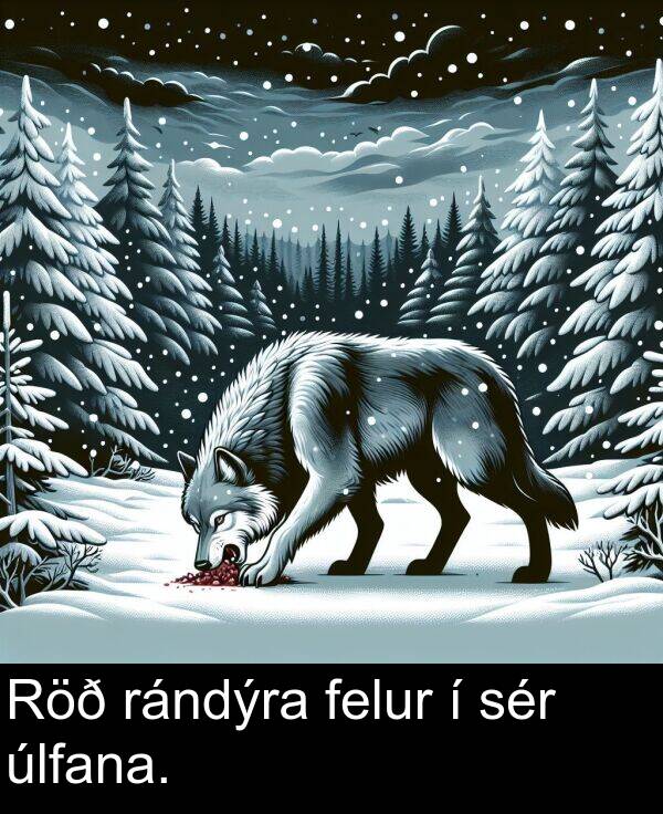 sér: Röð rándýra felur í sér úlfana.