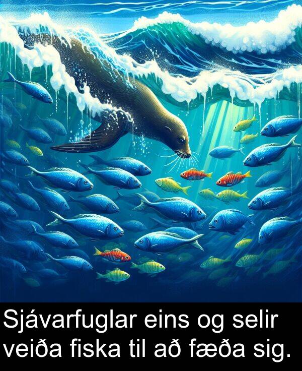 eins: Sjávarfuglar eins og selir veiða fiska til að fæða sig.