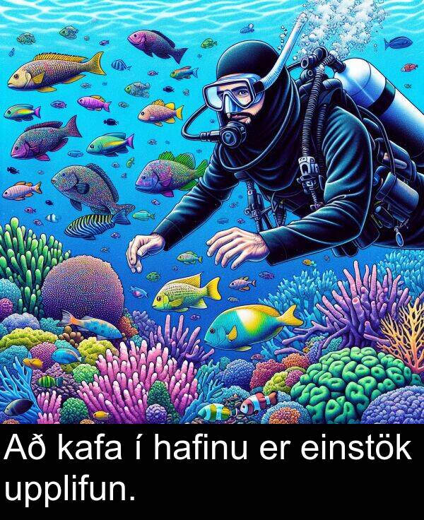 kafa: Að kafa í hafinu er einstök upplifun.