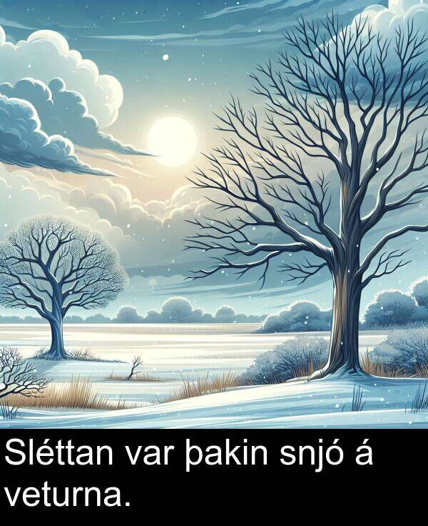 þakin: Sléttan var þakin snjó á veturna.