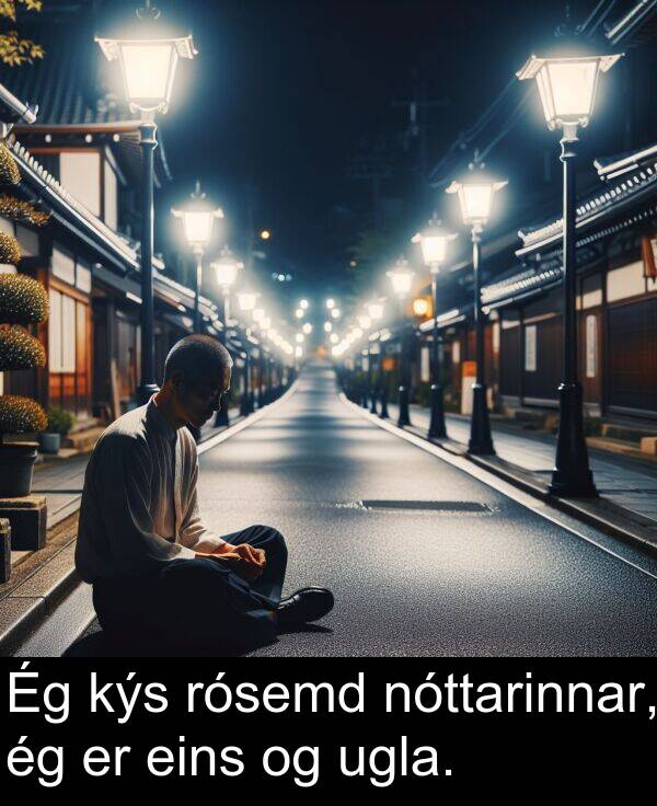 eins: Ég kýs rósemd nóttarinnar, ég er eins og ugla.