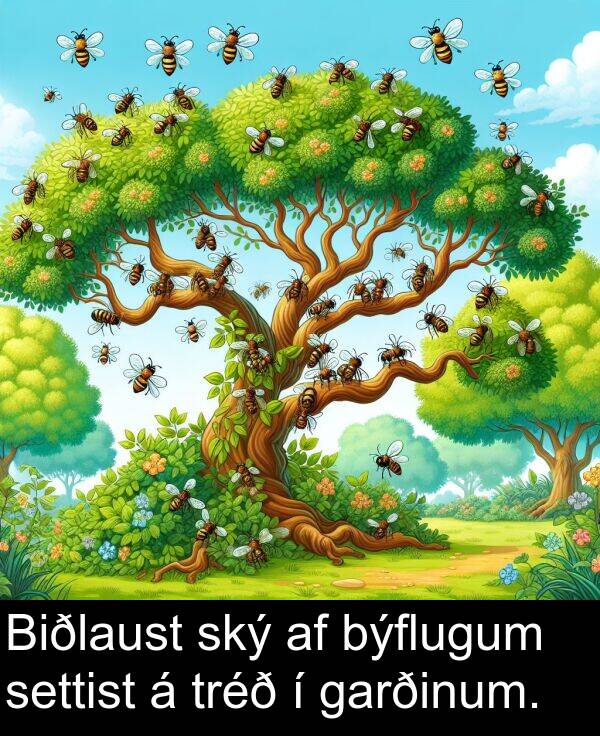 garðinum: Biðlaust ský af býflugum settist á tréð í garðinum.