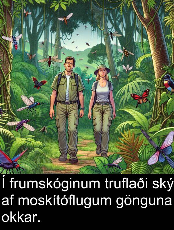 okkar: Í frumskóginum truflaði ský af moskítóflugum gönguna okkar.