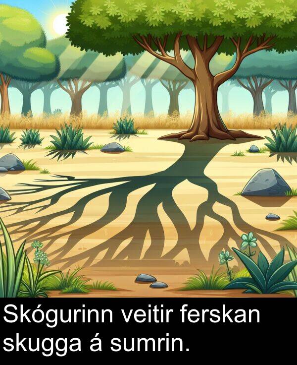 ferskan: Skógurinn veitir ferskan skugga á sumrin.