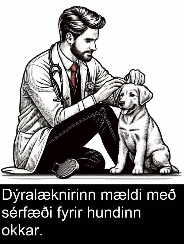 okkar: Dýralæknirinn mældi með sérfæði fyrir hundinn okkar.