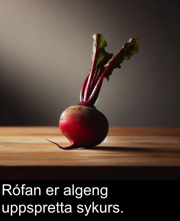 uppspretta: Rófan er algeng uppspretta sykurs.