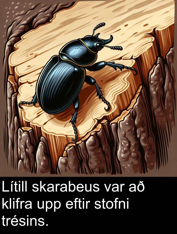 klifra: Lítill skarabeus var að klifra upp eftir stofni trésins.