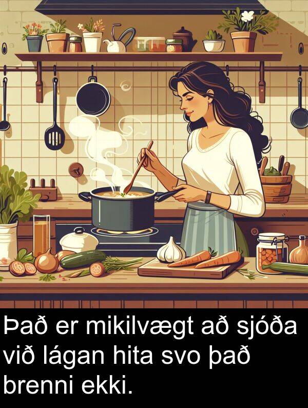 lágan: Það er mikilvægt að sjóða við lágan hita svo það brenni ekki.
