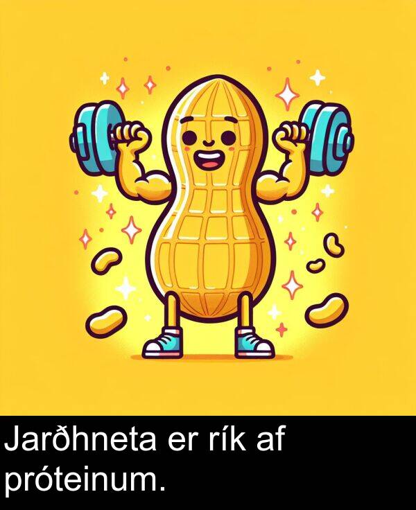 rík: Jarðhneta er rík af próteinum.