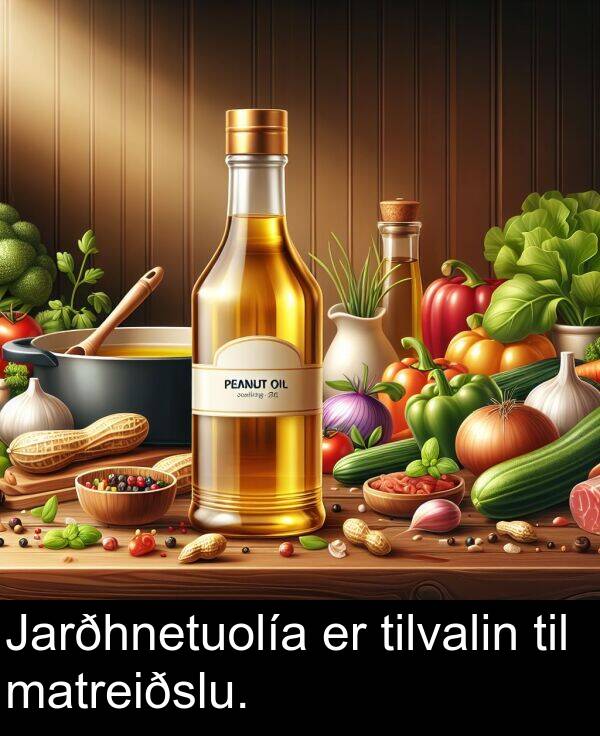 matreiðslu: Jarðhnetuolía er tilvalin til matreiðslu.