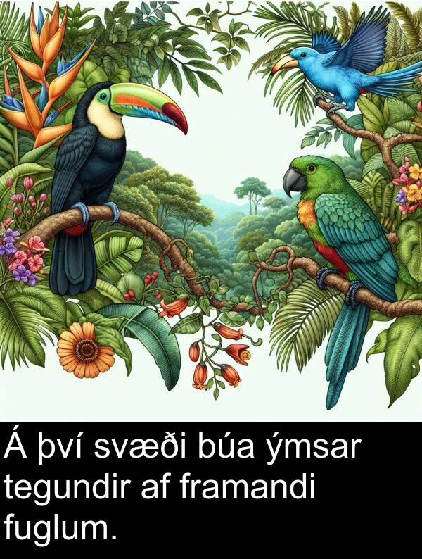 því: Á því svæði búa ýmsar tegundir af framandi fuglum.