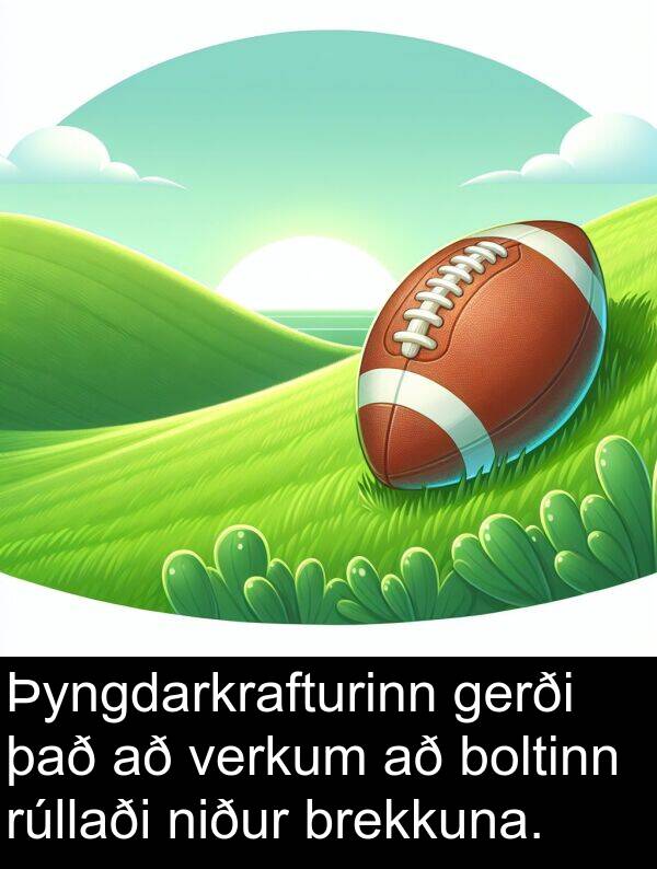 gerði: Þyngdarkrafturinn gerði það að verkum að boltinn rúllaði niður brekkuna.