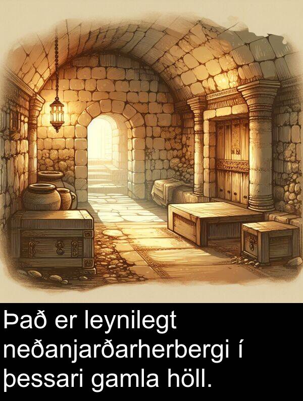 þessari: Það er leynilegt neðanjarðarherbergi í þessari gamla höll.