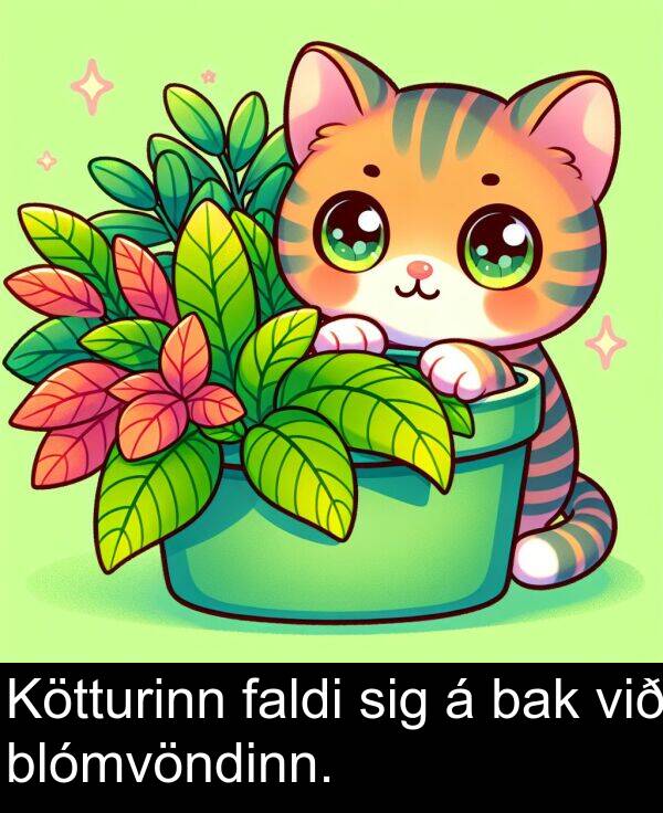 faldi: Kötturinn faldi sig á bak við blómvöndinn.