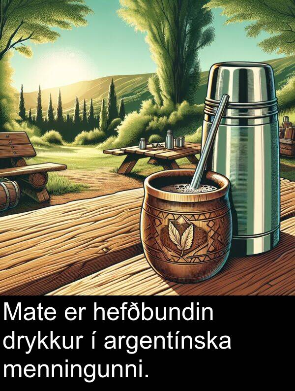 drykkur: Mate er hefðbundin drykkur í argentínska menningunni.