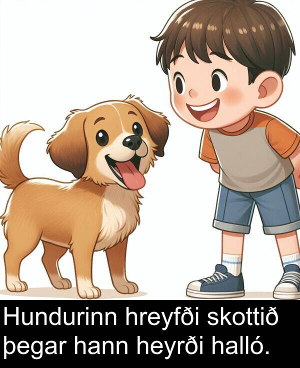 þegar: Hundurinn hreyfði skottið þegar hann heyrði halló.