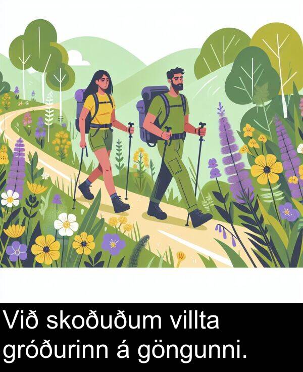 villta: Við skoðuðum villta gróðurinn á göngunni.