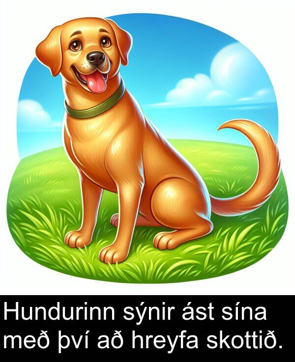 því: Hundurinn sýnir ást sína með því að hreyfa skottið.
