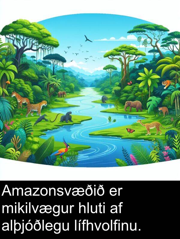 alþjóðlegu: Amazonsvæðið er mikilvægur hluti af alþjóðlegu lífhvolfinu.