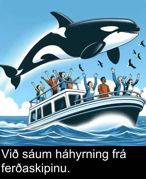 ferðaskipinu: Við sáum háhyrning frá ferðaskipinu.