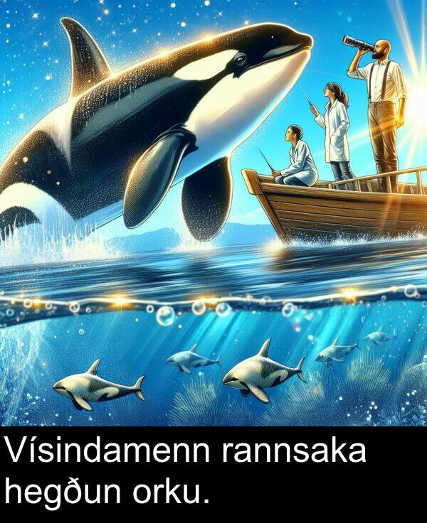 rannsaka: Vísindamenn rannsaka hegðun orku.